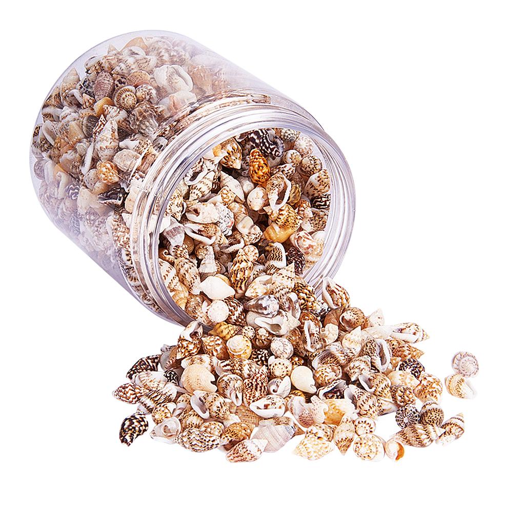 Natural Seashells Box Vibrant  - Jewelry Making Event incelemesi ve fiyatı