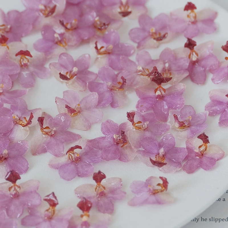 Natural Pink Resin Orchid DIY  - Jewelry Making Event incelemesi ve fiyatı