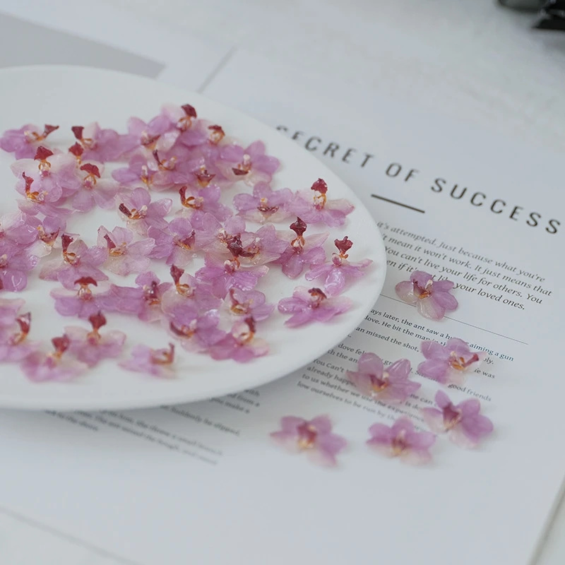 Natural Pink Resin Orchid DIY  - Jewelry Making Event incelemesi ve fiyatı